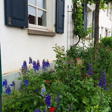 Seelig'S Weinsheim  Kültér fotó